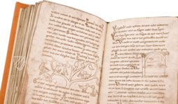 Millstätter Genesis- und Physiologus-Handschrift – Akademische Druck- u. Verlagsanstalt (ADEVA) – Manuscript 6/19 – Kärntner Landesarchiv (Klangenfurt, Österreich)