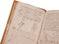 Millstätter Genesis- und Physiologus-Handschrift – Akademische Druck- u. Verlagsanstalt (ADEVA) – Manuscript 6/19 – Kärntner Landesarchiv (Klangenfurt, Österreich)