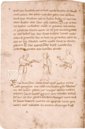 Millstätter Genesis- und Physiologus-Handschrift – Akademische Druck- u. Verlagsanstalt (ADEVA) – Manuscript 6/19 – Kärntner Landesarchiv (Klangenfurt, Österreich)