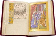 Müchner-Montserrat Stundenbuch – CM Editores – Ms. 53|CLM 23638|Ms. 3 – Biblioteca de la Abadía de Montserrat (Montserrat, Spanien)