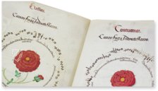 Musik für Heinrich VIII. - Königliches Chorbuch – Royal MS 11 E XI – British Library (London, Großbritannien) Faksimile