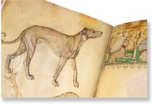 Musterbuch des Giovannino de Grassi – Faksimile Verlag – ms. VII. 14 – Biblioteca Civica "Angelo Mai" (Bergamo, Italien)