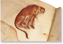 Musterbuch des Giovannino de Grassi – Il Bulino, edizioni d'arte – ms. VII. 14 – Biblioteca Civica Angelo Mai (Bergamo, Italien)