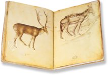 Musterbuch des Giovannino de Grassi – Il Bulino, edizioni d'arte – ms. VII. 14 – Biblioteca Civica Angelo Mai (Bergamo, Italien)