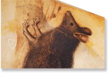 Musterbuch des Giovannino de Grassi – Il Bulino, edizioni d'arte – ms. VII. 14 – Biblioteca Civica Angelo Mai (Bergamo, Italien)