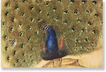 Musterbuch des Giovannino de Grassi – Il Bulino, edizioni d'arte – ms. VII. 14 – Biblioteca Civica Angelo Mai (Bergamo, Italien)