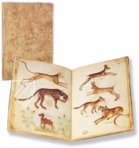 Musterbuch des Giovannino de Grassi – Il Bulino, edizioni d'arte – ms. VII. 14 – Biblioteca Civica Angelo Mai (Bergamo, Italien)