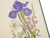 Neues Blumenbuch – Prestel Verlag – S.B.760 – Sächsische Landesbibliothek – Staats- und Universitätsbibliothek (Dresden, Deutschland)