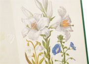 Neues Blumenbuch – Prestel Verlag – S.B.760 – Sächsische Landesbibliothek – Staats- und Universitätsbibliothek (Dresden, Deutschland)