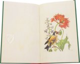 Neues Blumenbuch – Prestel Verlag – Sächsische Landesbibliothek - Staats - und Universitätsbibliothek (Dresden, Deutschland)