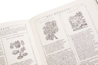 Neues Herbarium von Castore Durante – Biblioteca del Museo Regionale di Scienze Naturali di Torino (Turin, Italien) Faksimile