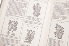 Neues Herbarium von Castore Durante – Biblioteca del Museo Regionale di Scienze Naturali di Torino (Turin, Italien) Faksimile