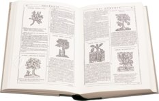 Neues Herbarium von Castore Durante – Priuli & Verlucca, editori – Biblioteca del Museo Regionale di Scienze Naturali di Torino (Turin, Italien)