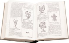 Neues Herbarium von Castore Durante – Priuli & Verlucca, editori – Biblioteca del Museo Regionale di Scienze Naturali di Torino (Turin, Italien)