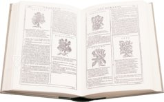 Neues Herbarium von Castore Durante – Priuli & Verlucca, editori – Biblioteca del Museo Regionale di Scienze Naturali di Torino (Turin, Italien)