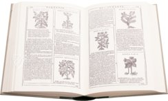 Neues Herbarium von Castore Durante – Priuli & Verlucca, editori – Biblioteca del Museo Regionale di Scienze Naturali di Torino (Turin, Italien)