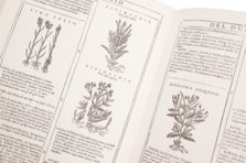 Neues Herbarium von Castore Durante – Priuli & Verlucca, editori – Biblioteca del Museo Regionale di Scienze Naturali di Torino (Turin, Italien)