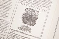 Neues Herbarium von Castore Durante – Priuli & Verlucca, editori – Biblioteca del Museo Regionale di Scienze Naturali di Torino (Turin, Italien)