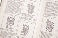 Neues Herbarium von Castore Durante – Priuli & Verlucca, editori – Biblioteca del Museo Regionale di Scienze Naturali di Torino (Turin, Italien)