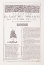 Neues Herbarium von Castore Durante – Priuli & Verlucca, editori – Biblioteca del Museo Regionale di Scienze Naturali di Torino (Turin, Italien)