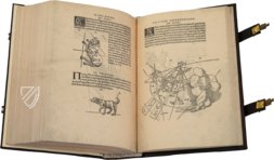 Nicolaus Copernicus - De revolutionibus orbium coelestium libri VI – Orbis Pictus – Pol.6 III.142 – Biblioteka Uniwersytecka Mikołaj Kopernik w Toruniu (Toruń, Polen)