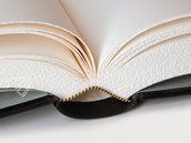 Nürnberger Bibel – Pytheas Books – Kalocsai Főszékesegyházi Könyvtár (Kalocsa, Ungarn)