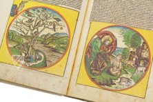 Nürnberger Weltchronik – Il Bulino, edizioni d'arte – Inc 122 – Herzogin Anna Amalia Bibliothek (Weimar, Deutschland)