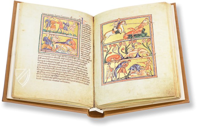 Oxforder Bestiarium – Ms. Ashmole 1511 – Bodleian Library (Oxford, Großbritannien) Faksimile