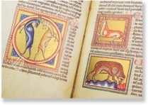 Oxforder Bestiarium – Ms. Ashmole 1511 – Bodleian Library (Oxford, Großbritannien) Faksimile