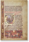 Pannohalmer Evangelistar – Helikon – Cod. lat. 113 – Universitätsbibliothek (Budapest, Ungarn)