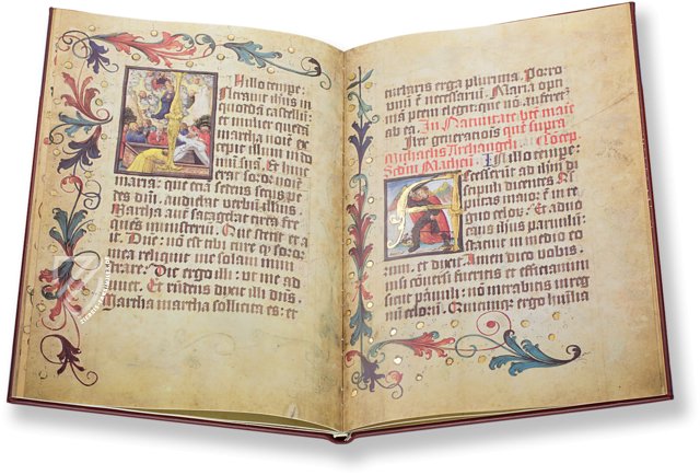 Pannonhalmer Evangelistar – Helikon – Cod. lat. 113 – ELTE Egyetemi Könyvtár (Budapest, Ungarn) Pannonhalmer Evangelistar – Helikon – Cod. lat. 113 – ELTE Egyetemi Könyvtár (Budapest, Ungarn)