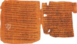 Papyrus Bodmer VIII - Beati Petri Apostoli Epistulae – Ex Papyro Bodmeriana VIII Transcriptae P72 – Biblioteca Apostolica Vaticana (Vaticanstadt, Vaticanstadt) Faksimile