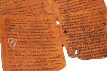 Papyrus Bodmer VIII - Beati Petri Apostoli Epistulae – Testimonio Compañía Editorial – Ex Papyro Bodmeriana VIII Transcriptae P72 – Biblioteca Apostolica Vaticana (Vatikanstadt, Vatikanstadt)