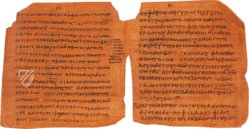 Papyrus Bodmer VIII - Beati Petri Apostoli Epistulae – Testimonio Compañía Editorial – Ex Papyro Bodmeriana VIII Transcriptae P72 – Biblioteca Apostolica Vaticana (Vatikanstadt, Vatikanstadt)