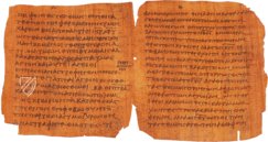 Papyrus Bodmer VIII - Beati Petri Apostoli Epistulae – Testimonio Compañía Editorial – Ex Papyro Bodmeriana VIII Transcriptae P72 – Biblioteca Apostolica Vaticana (Vatikanstadt, Vatikanstadt)