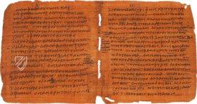 Papyrus Bodmer VIII - Beati Petri Apostoli Epistulae – Testimonio Compañía Editorial – Ex Papyro Bodmeriana VIII Transcriptae P72 – Biblioteca Apostolica Vaticana (Vatikanstadt, Vatikanstadt)