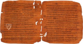 Papyrus Bodmer VIII - Beati Petri Apostoli Epistulae – Testimonio Compañía Editorial – Ex Papyro Bodmeriana VIII Transcriptae P72 – Biblioteca Apostolica Vaticana (Vatikanstadt, Vatikanstadt)