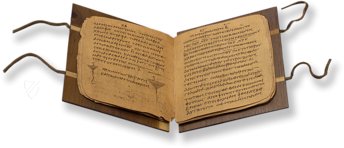 Papyrus Bodmer VIII - Beati Petri Apostoli Epistulae – TREC Publishing House – Ex Papyro Bodmeriana VIII Transcriptae P72 – Biblioteca Apostolica Vaticana (Vatikanstadt, Vatikanstadt)