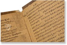 Papyrus Bodmer VIII - Beati Petri Apostoli Epistulae – TREC Publishing House – Ex Papyro Bodmeriana VIII Transcriptae P72 – Biblioteca Apostolica Vaticana (Vatikanstadt, Vatikanstadt)