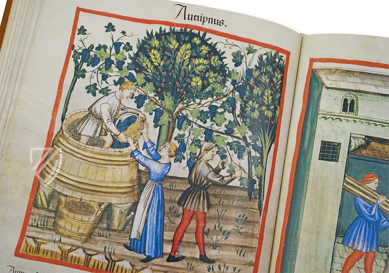 Paradiesische Bilder als Ausdruck aristokratischen Wunschdenkens (Tacuinum Sanitatis in Medicina, Lombardei (Italien) — Ende des 14. Jahrhunderts)