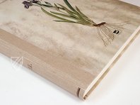 Paul Kitaibel: Descriptiones Et Icones Plantarum Rariorum Hungariae – Pytheas Books – Biblioteca Palatina (Parma, Italien)