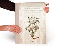 Paul Kitaibel: Descriptiones Et Icones Plantarum Rariorum Hungariae – Pytheas Books – Biblioteca Palatina (Parma, Italien)