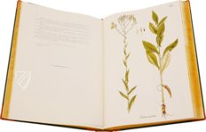 Paul Kitaibel: Descriptiones Et Icones Plantarum Rariorum Hungariae – Pytheas Books – 