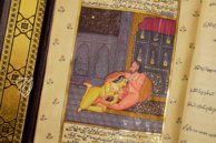 Persischer Kama Sutra – Ms. 17 – Privatsammlung Persischer Kama Sutra – Ms. 17 – Privatsammlung Faksimile