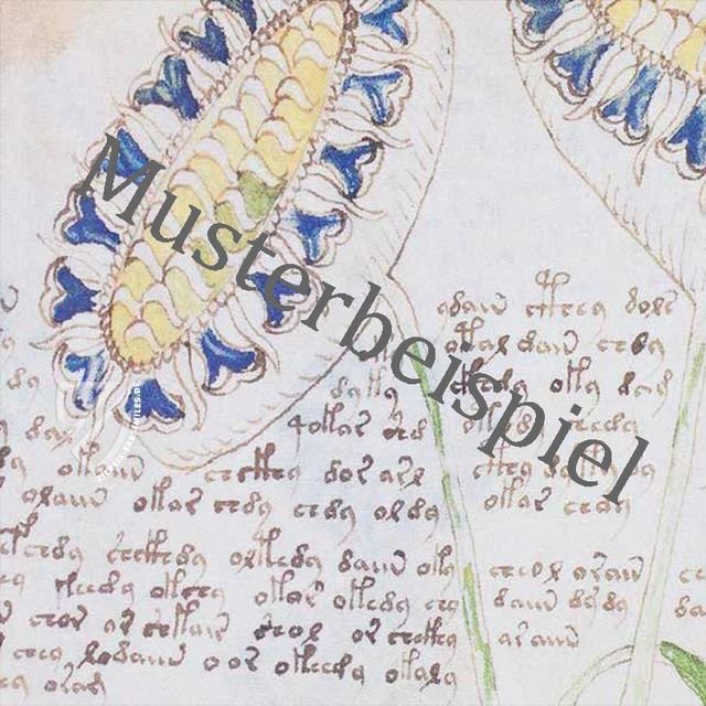 Petrarca: Trionfi - Vatikanischer Codex – Istituto dell'Enciclopedia Italiana - Treccani – Ms. Urb. lat. 683 – Biblioteca Apostolica Vaticana (Vatikanstadt, Vatikanstadt)