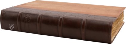 Petrarca: Vergilianus-Codex – Hoepli – S.P. 10/27 – Veneranda Biblioteca Ambrosiana (Mailand, Italien) Petrarca: Vergilianus-Codex – Hoepli – S.P. 10/27 – Veneranda Biblioteca Ambrosiana (Mailand, Italien)