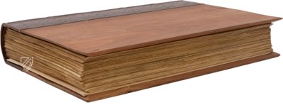 Petrarca: Vergilianus-Codex – Hoepli – S.P. 10/27 – Veneranda Biblioteca Ambrosiana (Mailand, Italien) Petrarca: Vergilianus-Codex – Hoepli – S.P. 10/27 – Veneranda Biblioteca Ambrosiana (Mailand, Italien)