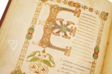 Psalter Ludwigs des Deutschen – Akademische Druck- u. Verlagsanstalt (ADEVA) – Ms. Theol. Lat. Fol. 58 – Staatsbibliothek zu Berlin (Berlin, Deutschland)