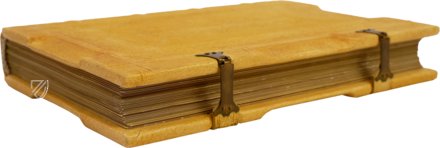 Ramsey-Psalter – Akademische Druck- u. Verlagsanstalt (ADEVA) – Cod. 58/1
MS. M.302 – Stift St. Paul Bibliothek (Lavanttal, Österreich)