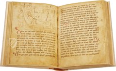 Rolandslied des Pfaffen Konrad – Reichert Verlag – Cod. Palat. germ. 112 – Universitätsbibliothek Heidelberg (Heidelberg, Deutschland)
